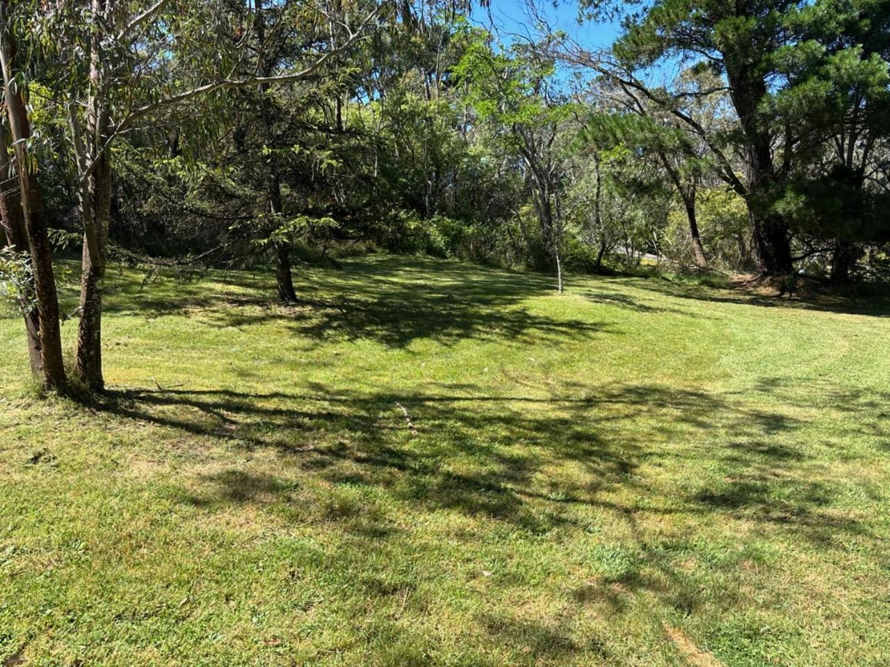 Narrow Neck Views - Peaceful 4 Bedroom Home With Stunning Views! Katoomba Eksteriør bilde